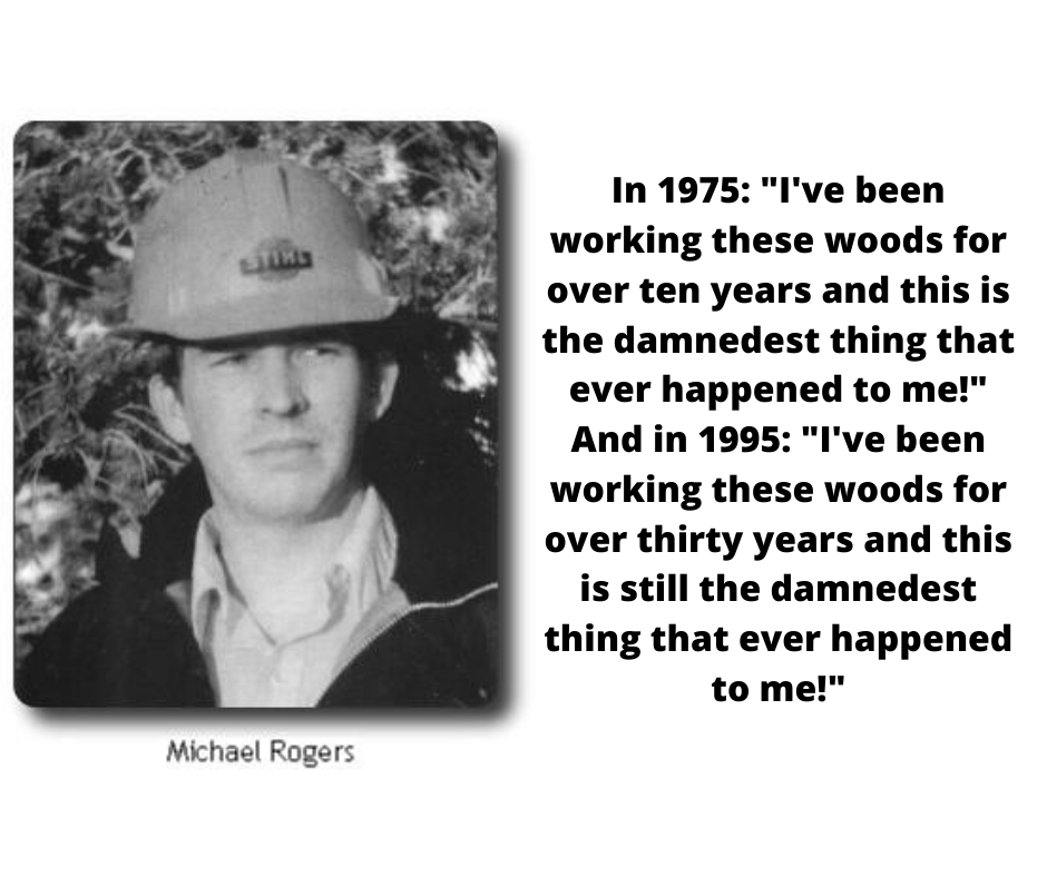 Mike Heston Rogers witness material 3