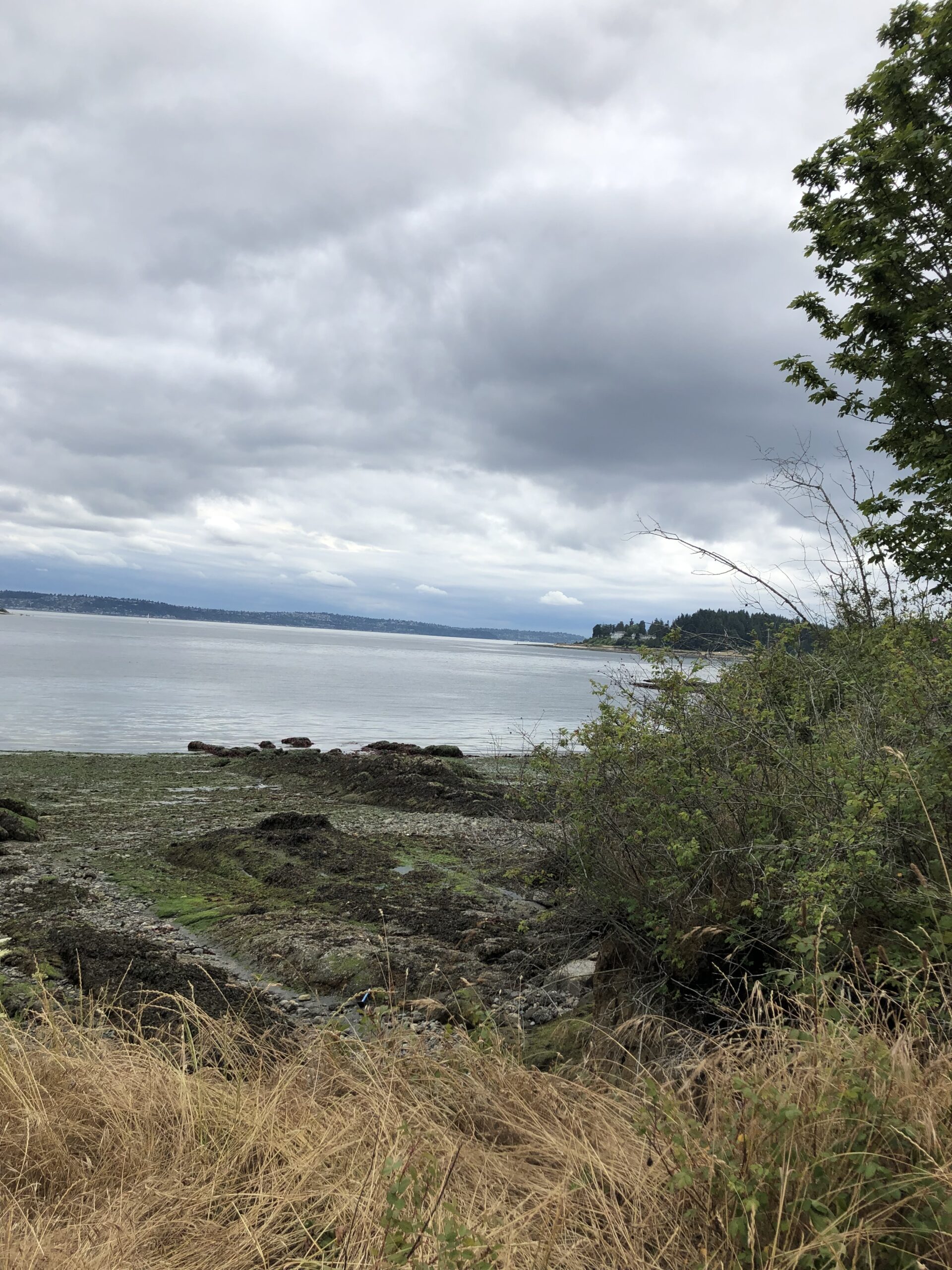Bainbridge Island UFO witness material 2