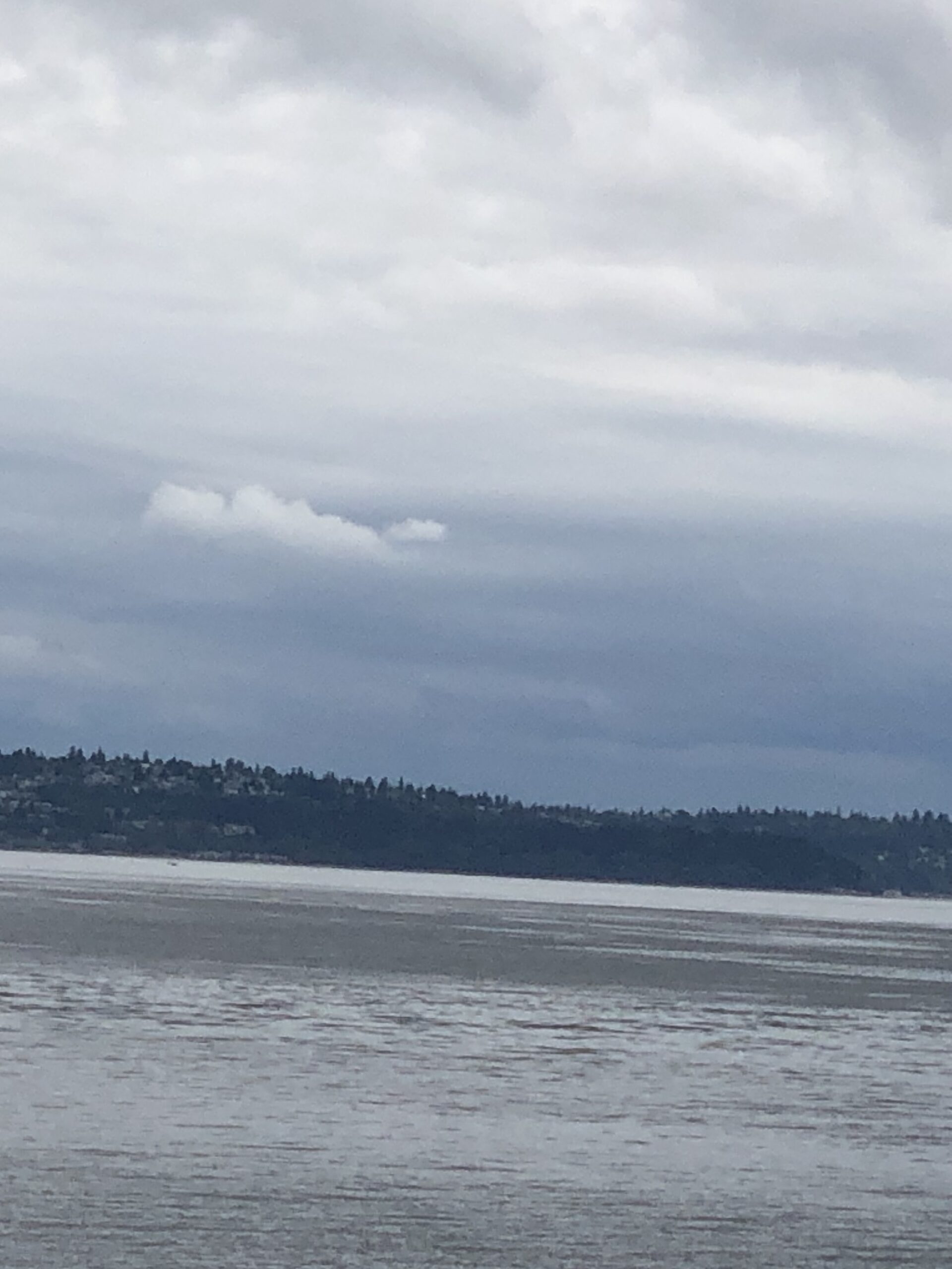 Bainbridge Island UFO witness material 6