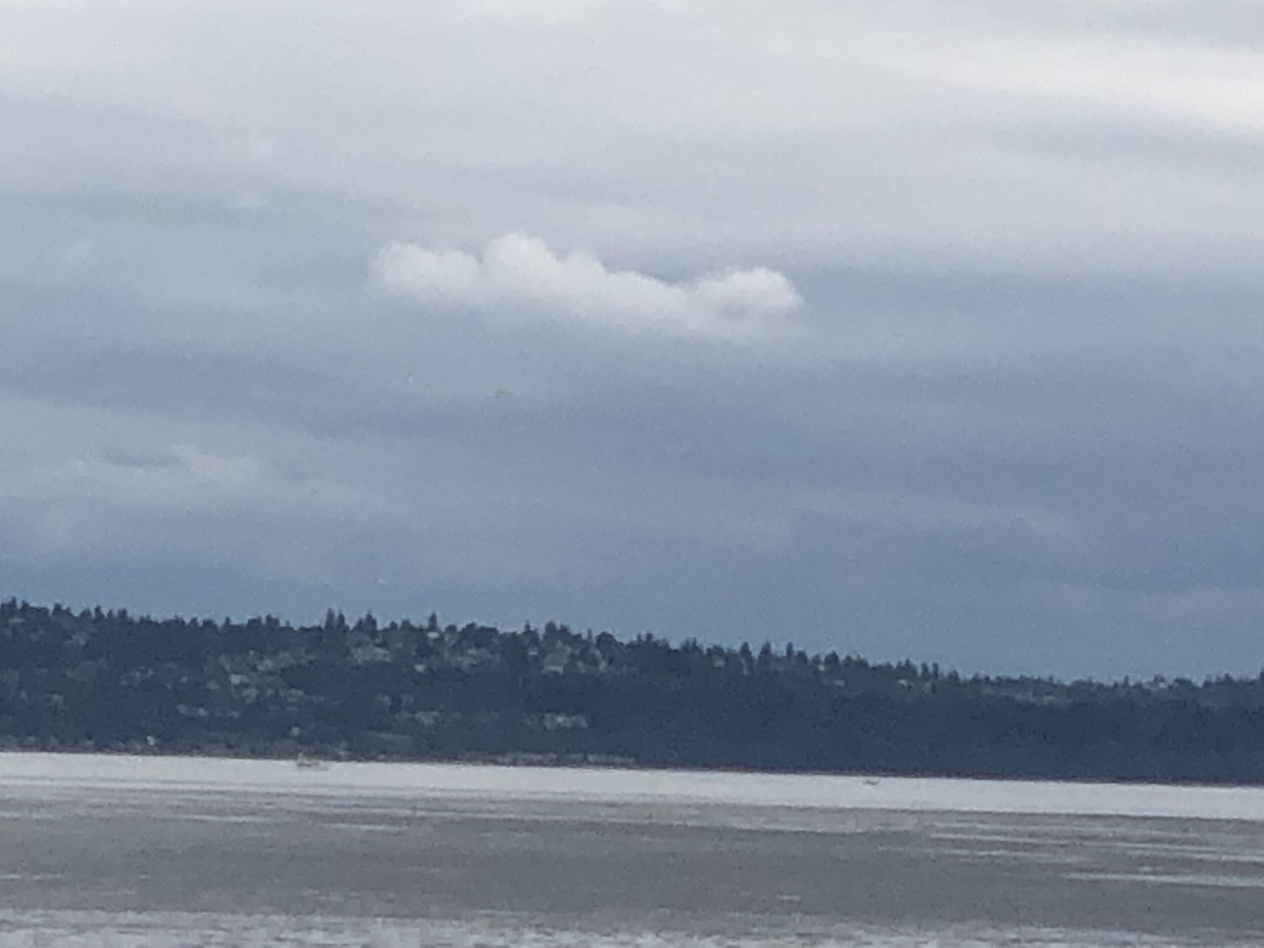 Bainbridge Island UFO witness material 10