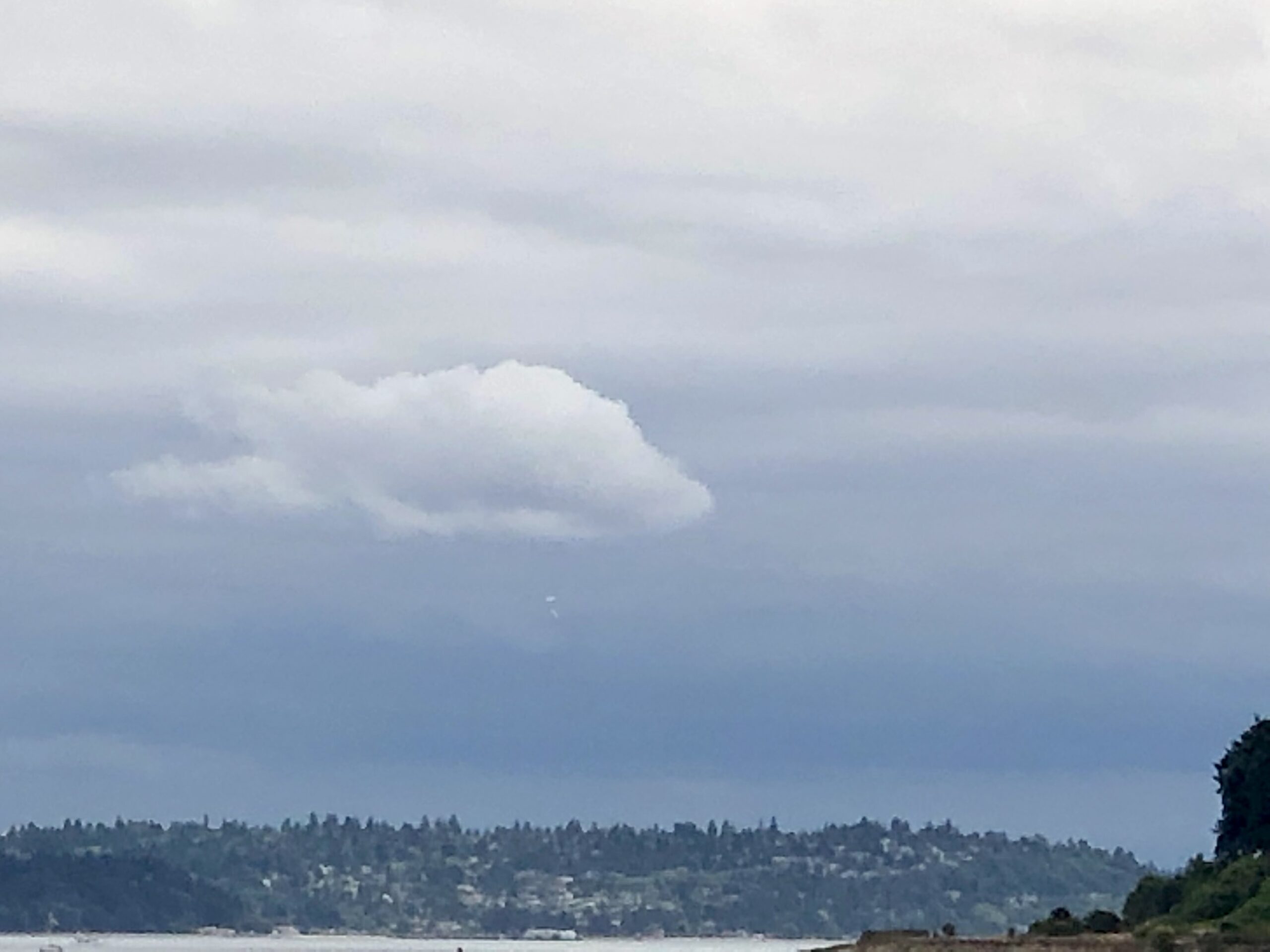 Bainbridge Island UFO witness material 16