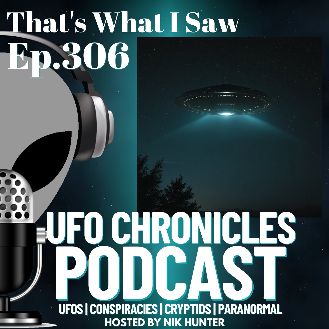 Ep.306 That’s What I Saw artwork